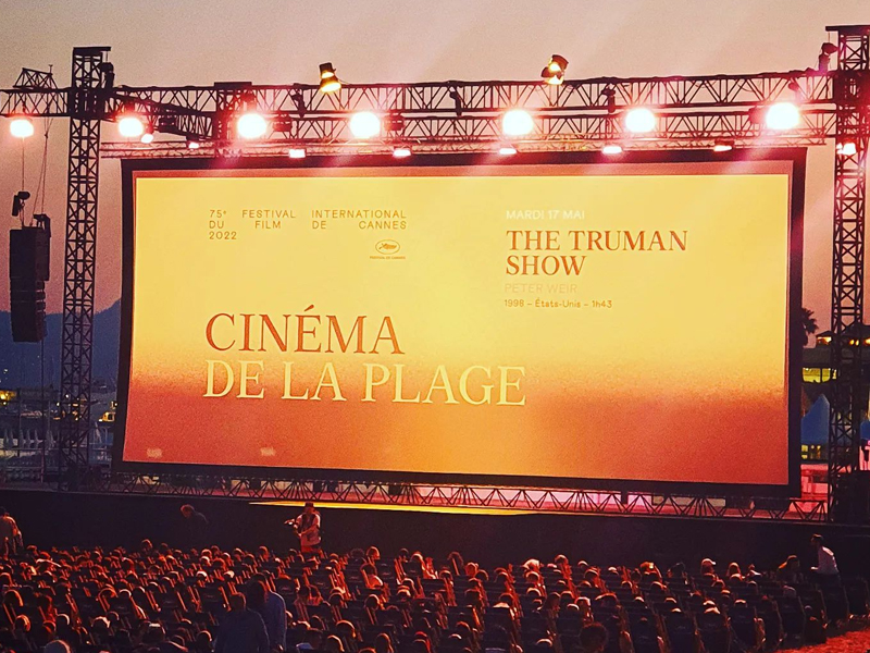 How Custom-Molded Modules Achieve Physic